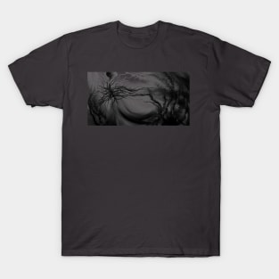 Aura Atrum (Asphalt) T-Shirt